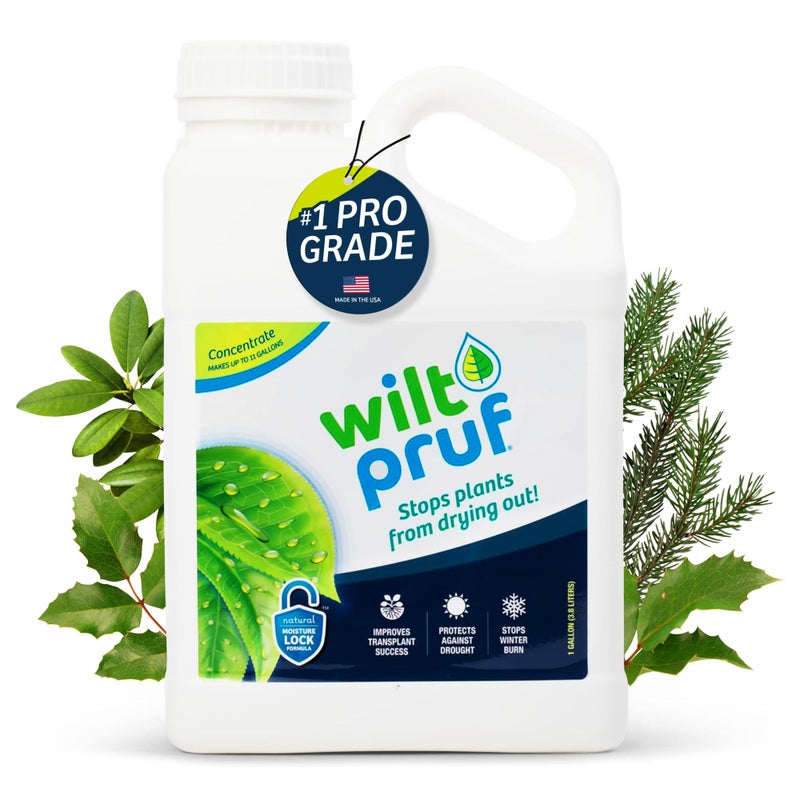 Wilt-PrufÂ® Concentrate | Protect Against Winter Damage, Drought, and Stress | Just Spray & Let Dry | Locks in Moisture w/Clear Foliar Film | Professional-Grade & Trusted | Replaces Burlap | (1 Gal) - Image 1